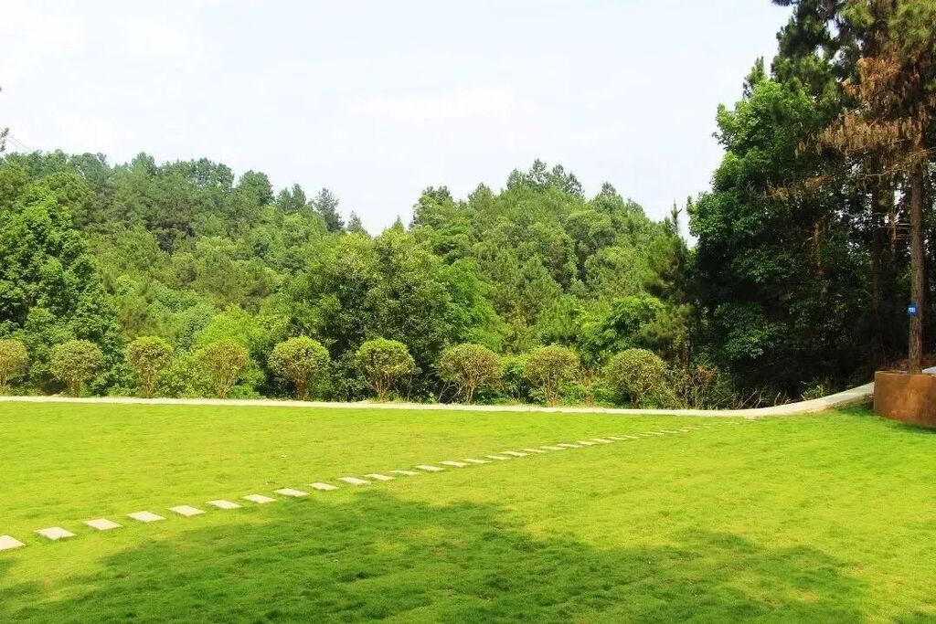 内自同城 | 炎炎夏日，来一场说走就走的乡村游吧！-16.jpg