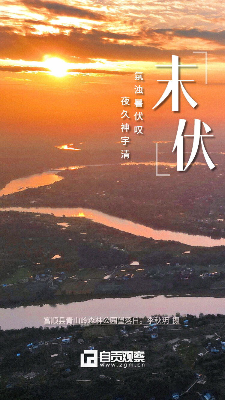 海报 | 末伏到，小心“秋老虎”！-2.jpg