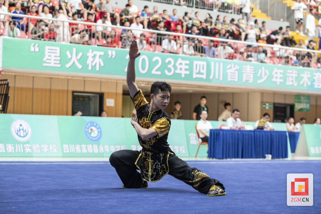 云集富顺，龙争虎斗！快看四川省青少年武术套路A类锦标赛-1.jpg