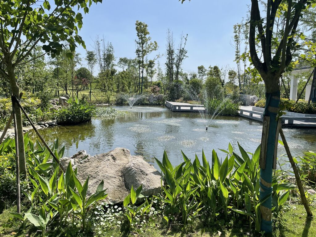自贡：滨河公园里“藏着”一座污水处理厂-4.jpg