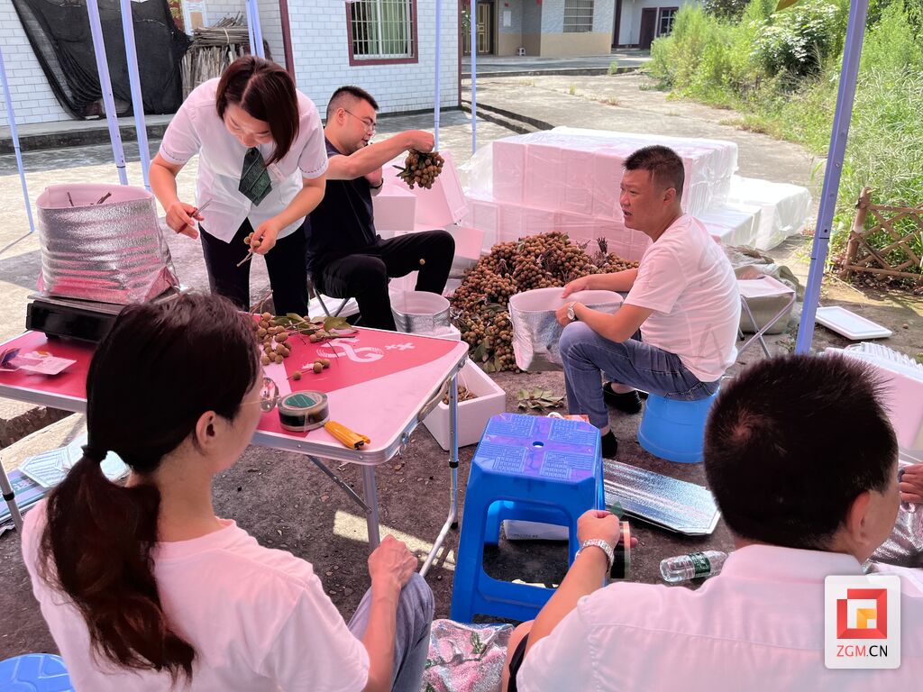 富顺县怀德镇：桂圆喜迎丰收 线下、线上热卖-4.jpg