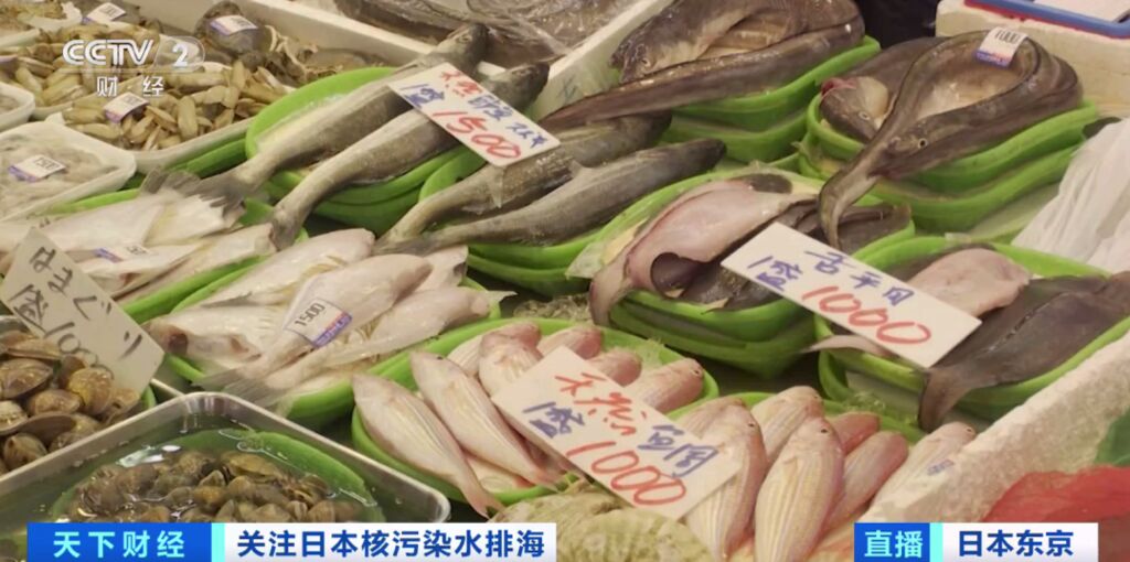 日本扇贝大降价！这里，出口销售额已减少80%！政府或将公布→-5.jpg