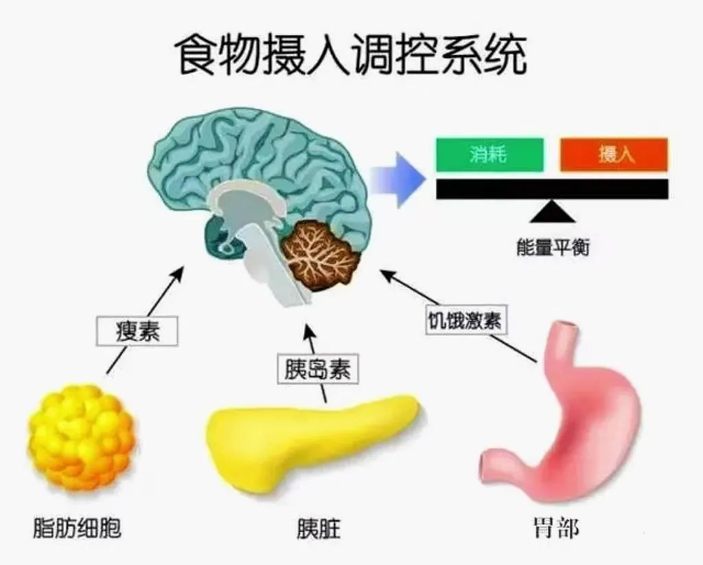 4ac27324ace6c9c51a1bfdd5ec3fdcb8.png