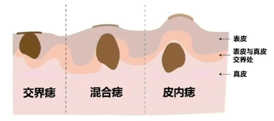 fa92a9f50d4e4dcffabe9d003046593b.png