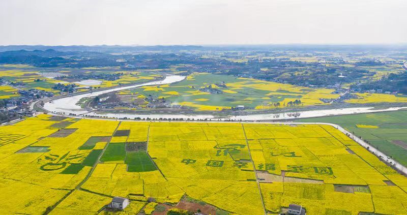 四川5地入选2023年国家乡村振兴示范县-2.jpg