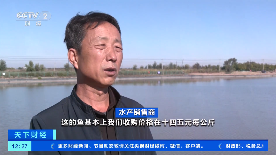 真正的“新鲜”来了！罗非鱼、鲈鱼、白对虾…新疆水产品迎丰收-2.png