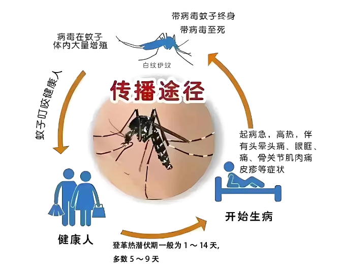 d2406f82f259cfe6a5318ec05ffe4686.png