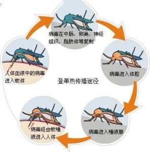 cd1bf775d0a861bc0b57375eeb9e0ec9.jpg