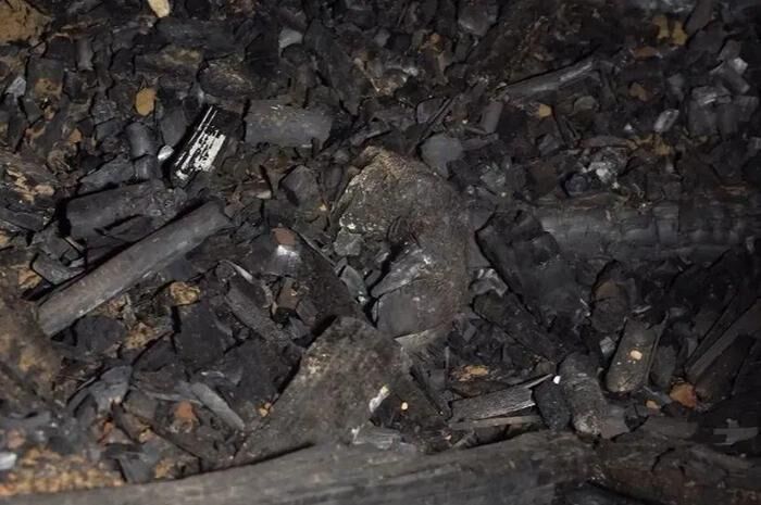 男子为救怀孕母猪，第三次冲进起火猪舍不幸窒息身亡-3.jpg