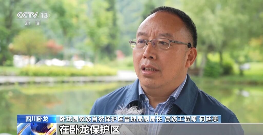 你知道大熊猫“上铺的兄弟”是谁吗？探秘卧龙保护区“双旗舰物种”模式→-4.jpg