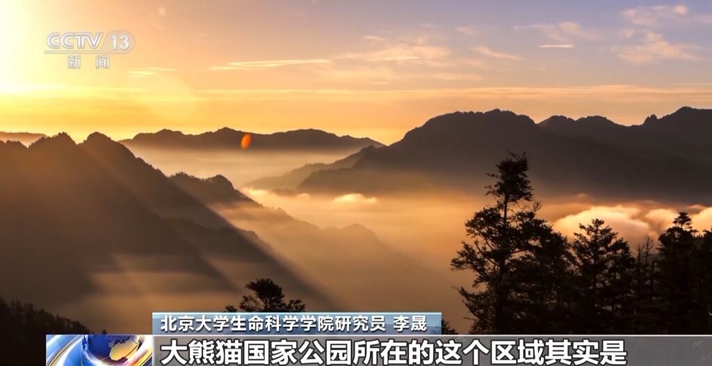 你知道大熊猫“上铺的兄弟”是谁吗？探秘卧龙保护区“双旗舰物种”模式→-9.jpg