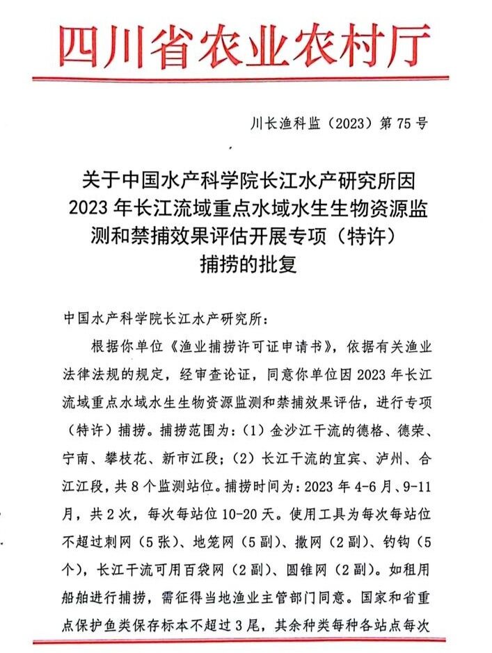 宜宾三江口有人非法捕捞？官方：科研机构进行调查，合法捕捞-2.jpg