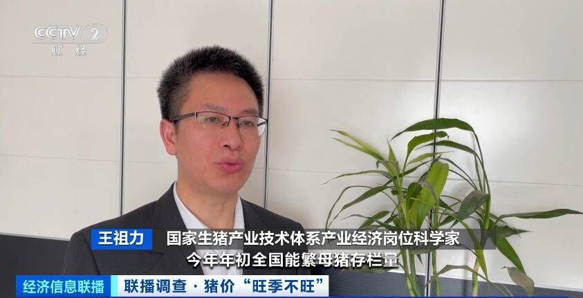 又便宜了！猪肉价格大降超40%！接下来会涨吗？-4.jpeg