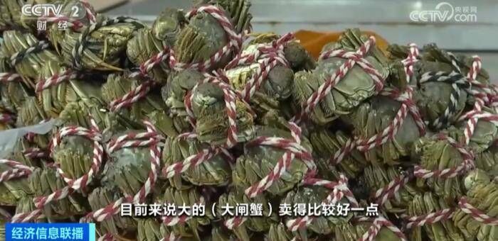 又降价了！大闸蟹每只跌破10元！为什么？-2.jpeg