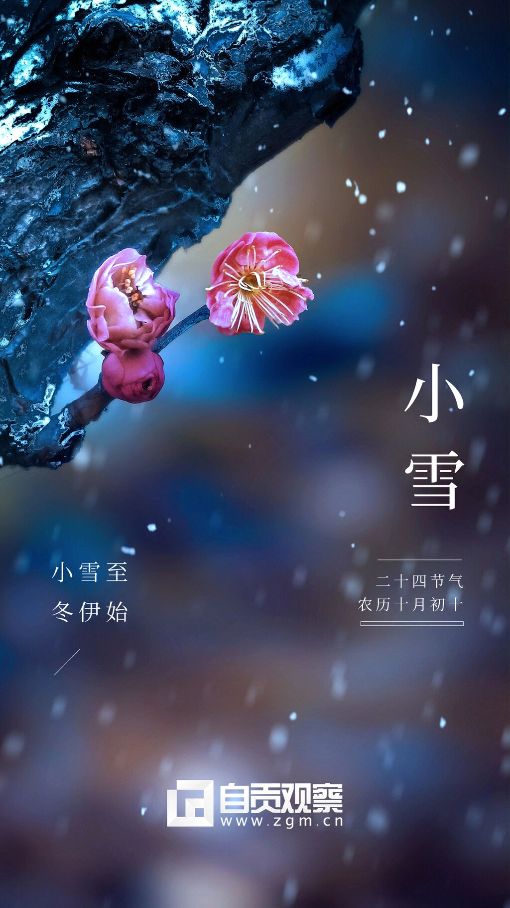 海报 | 小雪：晚来天欲雪，能饮一杯无？-3.jpg