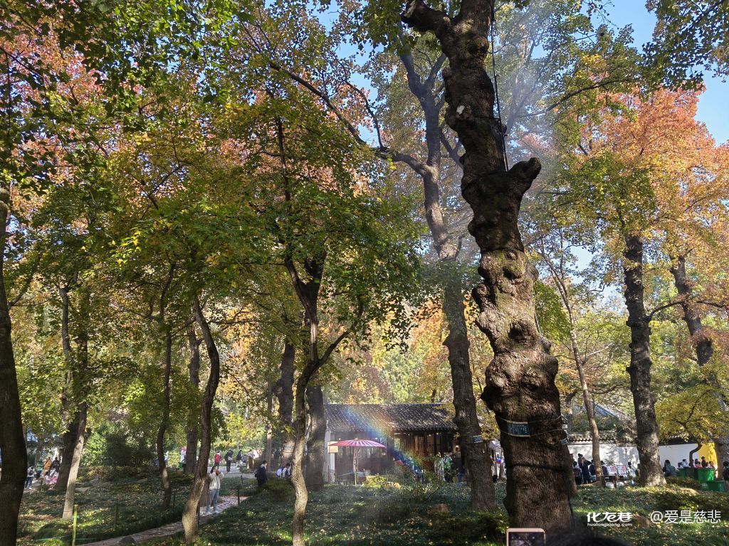 周六苏州天平山一日游，风景不错，人也不错，天气也不错-6.jpg