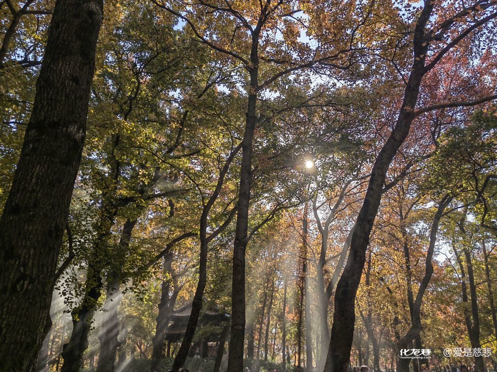 周六苏州天平山一日游，风景不错，人也不错，天气也不错-7.jpg