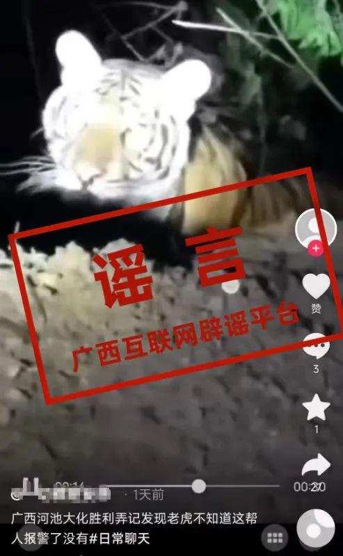 广西两地出现野生老虎？当地回应，系谣言。-1.jpg