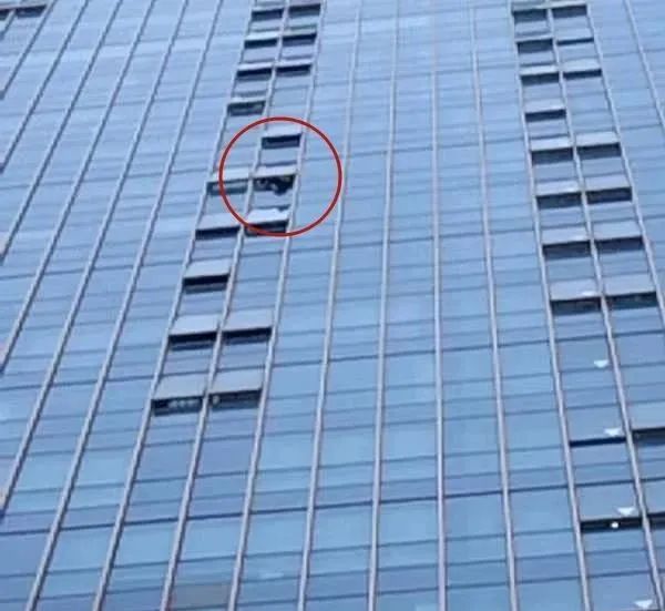 地上一只童鞋？孩子挂在16楼窗口！这一眼救了一条命-1.jpeg