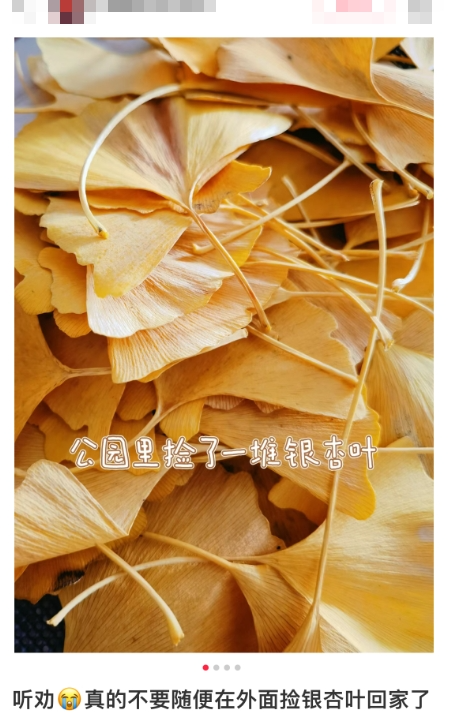 大量出现，满大街都能捡！紧急提醒：有毒！停手-1.png