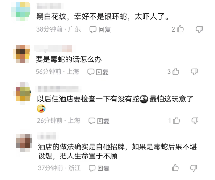 花2500元住豪华酒店，女子熟睡时遭遇惊魂一幕！之后..-6.png