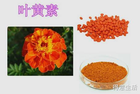 眼睛经常疲劳怎么办，这几招让你的眼睛清澈明亮！-8.jpg