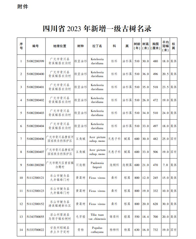 新增25株！四川省2023年新增一级古树名录公布-1.jpg