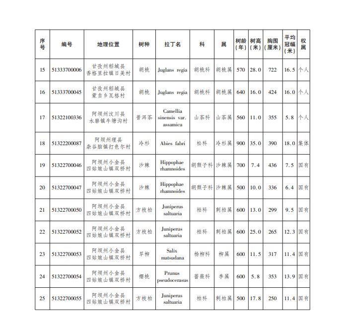 新增25株！四川省2023年新增一级古树名录公布-2.jpg