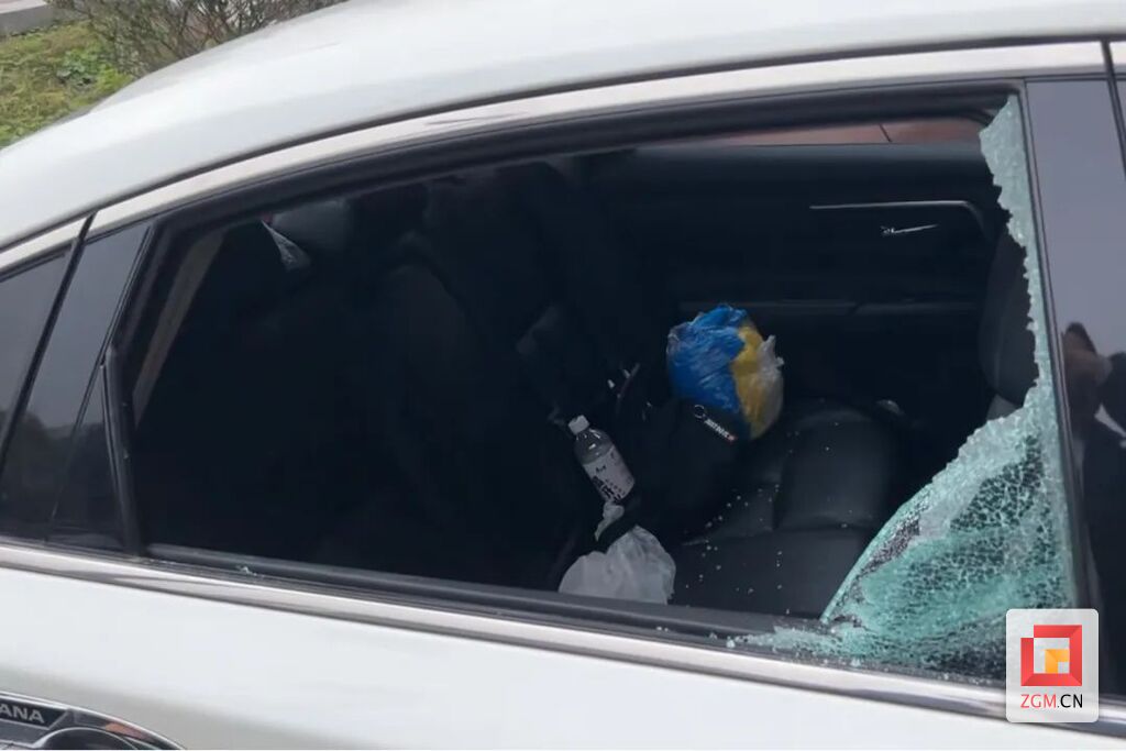 大安公安：砸车窗盗财物，抓你没商量！-1.jpg