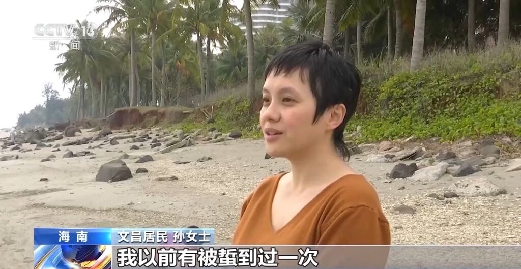海南文昌沙滩现僧帽水母 毒性较强被蜇应这样处置→-1.jpg