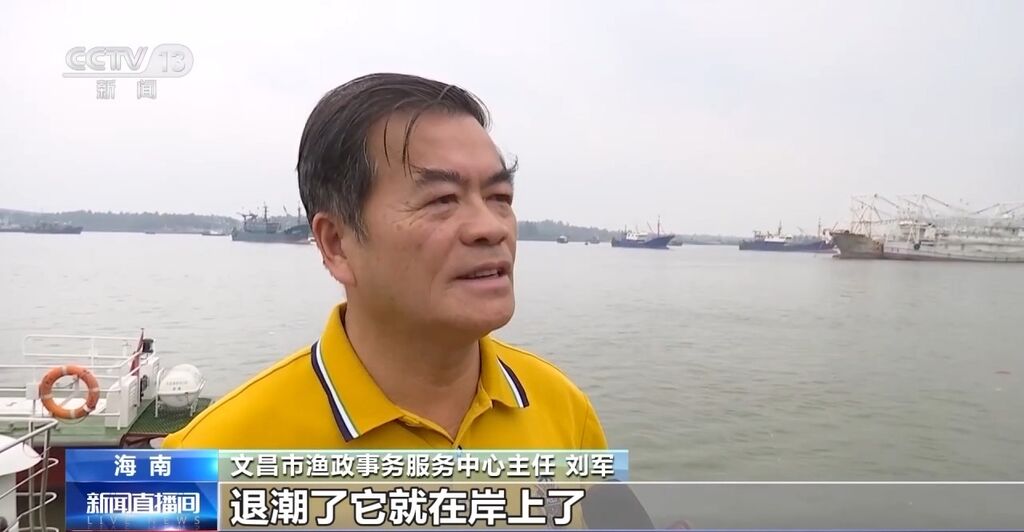 海南文昌沙滩现僧帽水母 毒性较强被蜇应这样处置→-2.jpg