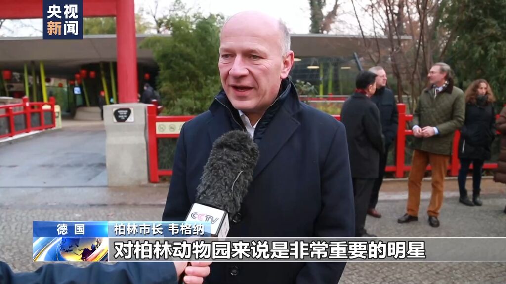 德国柏林动物园为熊猫双胞胎举行欢送活动-1.jpeg