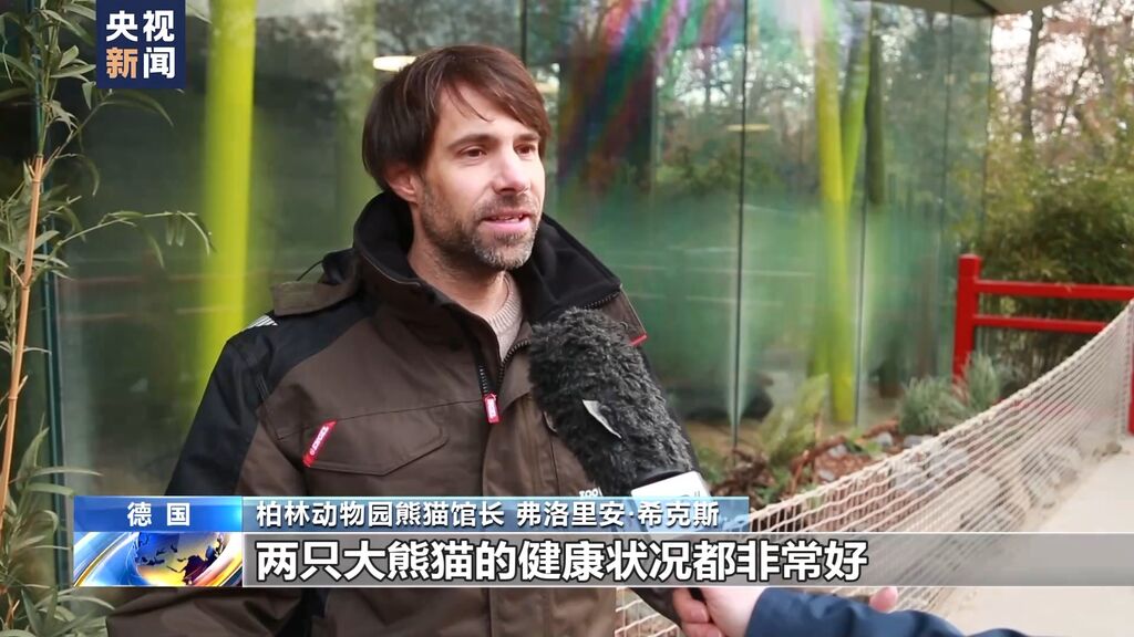 德国柏林动物园为熊猫双胞胎举行欢送活动-4.jpeg