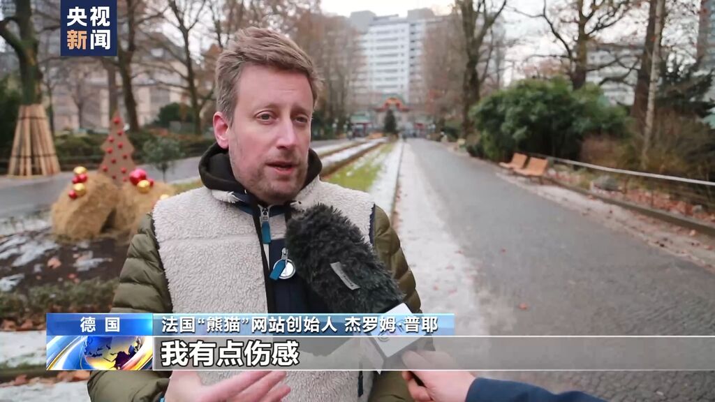 德国柏林动物园为熊猫双胞胎举行欢送活动-3.jpeg