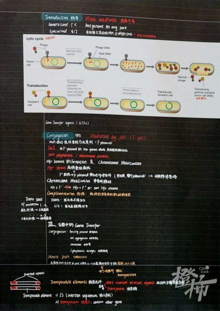 浙大学霸的笔记精美得像教科书 每个环节都认真仔细到极致-40.jpg