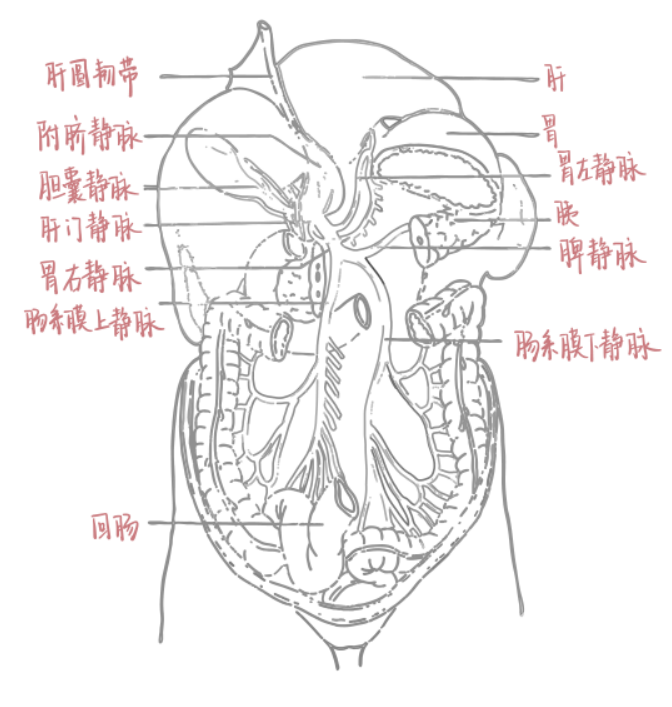 浙大学霸的笔记精美得像教科书 每个环节都认真仔细到极致-48.jpg