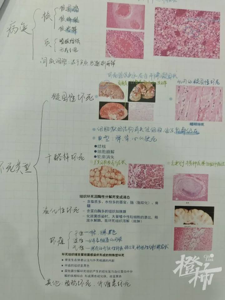 浙大学霸的笔记精美得像教科书 每个环节都认真仔细到极致-47.jpg