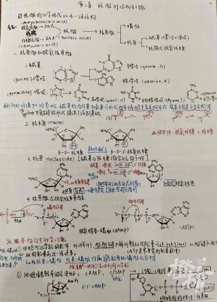 浙大学霸的笔记精美得像教科书 每个环节都认真仔细到极致-51.jpg