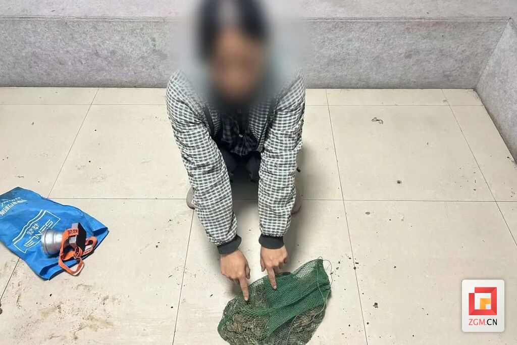 大安公安提醒：抓“癞蛤蟆” 可能构成违法犯罪！-2.jpg