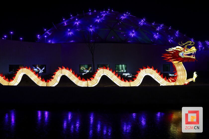 自贡彩灯来到匈牙利！布达佩斯“欢乐春节”中国龙年彩灯节举行-5.jpg