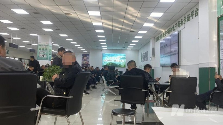 突然大降价！一公斤从300元降到55元-3.jpg