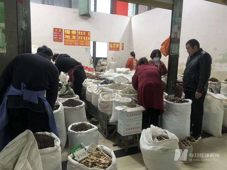 突然大降价！一公斤从300元降到55元-4.jpg