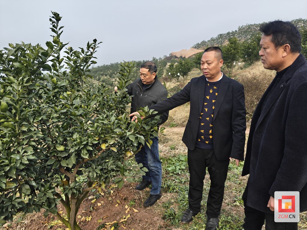 荣县新桥镇：发挥乡村“能人”“作用” 打造群众增收致富新引擎-2.jpg