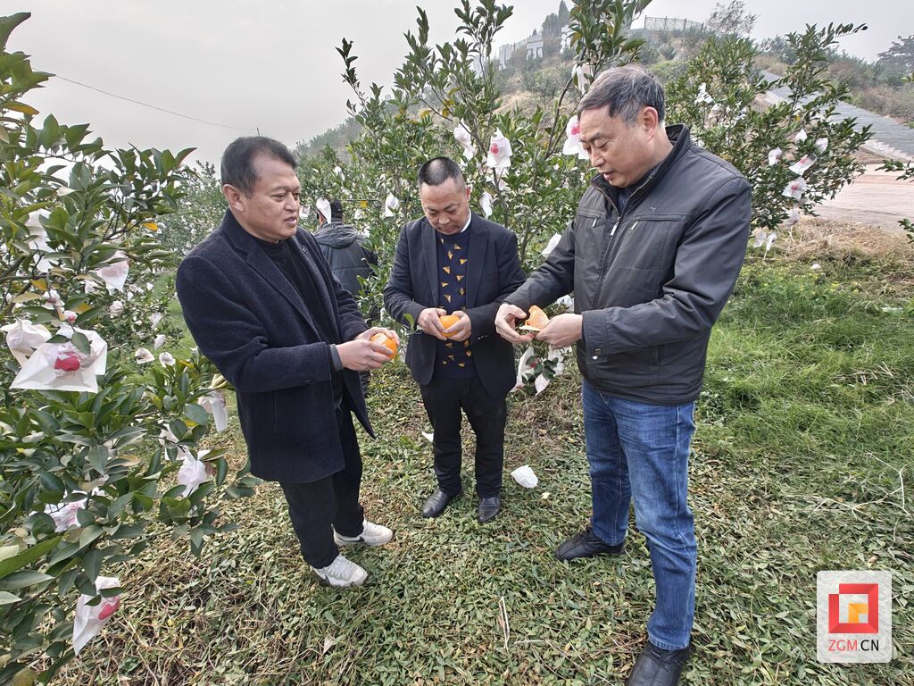 荣县新桥镇：发挥乡村“能人”“作用” 打造群众增收致富新引擎-1.jpg
