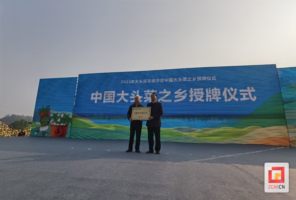 中国大头菜之乡庆丰收 2023年大头菜丰收节在贡井成佳开启-5.jpg