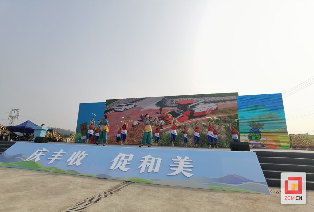 中国大头菜之乡庆丰收 2023年大头菜丰收节在贡井成佳开启-6.jpg