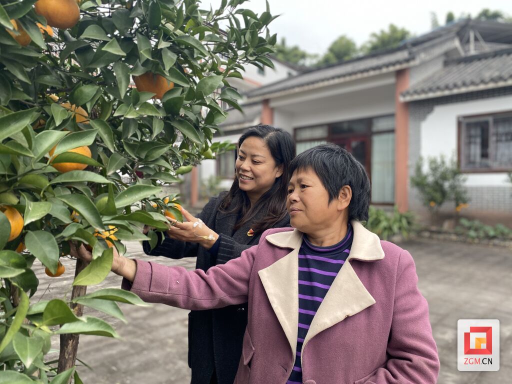 【盐都“她力量”⑥】曾道群：“村民就是我的家人，想把村子建设得更好”-6.jpg
