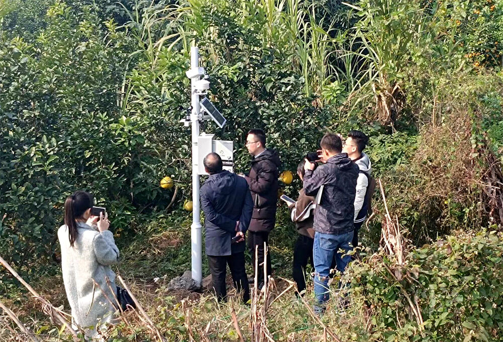 数字“钞能力”，泸州土货卖出奢侈感-4.jpg
