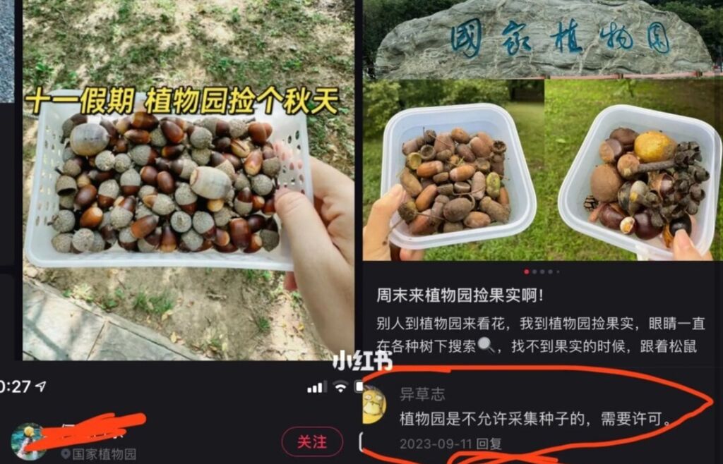 网友扎堆采拾果实，“薅秃”植物园？成都：暂未发现，不建议采拾-1.jpg