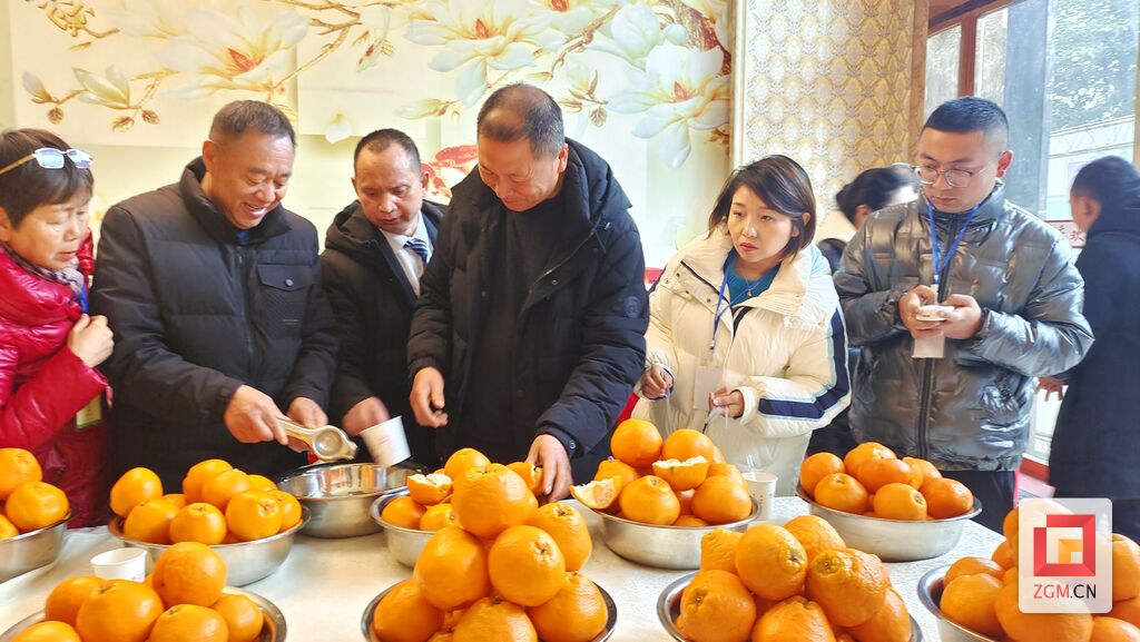 荣县农民创业协会举行第五届“绿颖杯”春见杂柑评选赛暨培训会-2.jpg